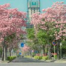 달실용음악학원 이미지