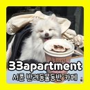 경복궁역 2번 출구 앞 | 서촌 경복궁역 2번출구 근처 반려동물동반가능 카페 '33apartment아파트먼트'