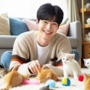 (주)아이파트너스그룹 | 고양이장난감 고양이 스트레스 줄이는 놀이방법과 추천리스트