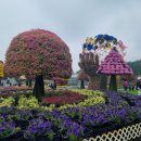 코리아플라워파크 이미지