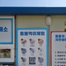 안녕, 강아지 | 경북 구미 아이와함께 가볼만한 곳 바로 눈앞에서 호랑이를 볼 수 있는 '쥬쥬동산'