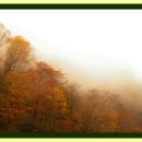 평창이야기 이미지