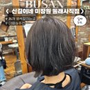 탈색없이 애쉬브라운염색 대성공, 염색잘하는곳 추천 신길이네 미장원 동래사직점
