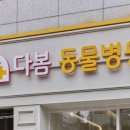 건 동물병원 이미지