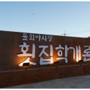제주회포장물회횟집학개론