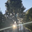💚.U🌞🧸유태양아~ 꼭 오늘도 좋은 날😊💚 이미지