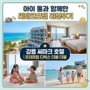 남경슈퍼 | [아이와 함께 강릉] 씨마크 호텔 프리미엄 디럭스 더블 더블 후기｜11층 오션뷰 호캉스