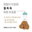 멍멍이 미장원 이미지
