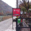 숲스토리야영장 | 🍁 가을가을한 캠핑 — 전북 진안 숲스토리 야영장 오토캠핑장 방문 후기