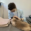 시그널동물병원 이미지