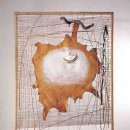 사림동254 이미지