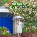 수원시 팔달구 창룡대로104번길 | 경기도 수원 놀거리 행궁동 장미스팟 데이트
