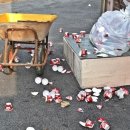 기민중학교 이미지