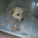 두산동물병원 이미지