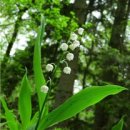 사실무근/근검절약 이미지