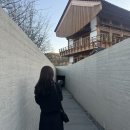 예향분식 | 11월은 입동인데 가을이야(2)