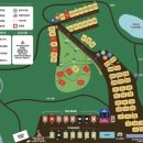 금성애견 이미지