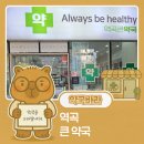 역곡큰약국 네이버블로그