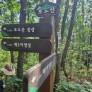 선들재 | 낙동정맥(洛東正脈) 10구간 포도산삼거리~황장재
