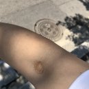 세븐레마의원 이미지