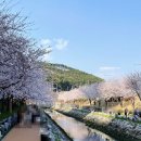 해수천1호 네이버블로그