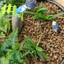 외포중학교 이미지