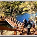 둘레길1구간 이미지