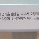 자연속에 영농조합법인 이미지