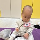 양주 이마트 문화센터 ‘음악이랑 놀자! 뮤직아이(7-14개월)’ 수강 후기👼🏻