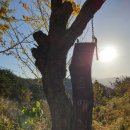 지리산 산골농원 이미지