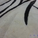 일산세탁 이미지