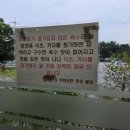 목화냉면 이미지