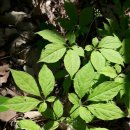 영월농장 이미지