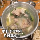 윤대리 명동칼국수 | 명동역 맛집 추천 깊은 국물맛 효담칼국수 닭한마리 명동본점