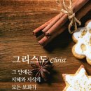 보화 Daum카페