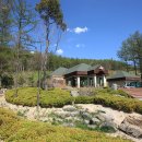 하이원카서비스 이미지