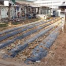 내곡동269 이미지