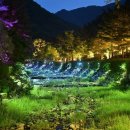 (주)비바케어 이미지