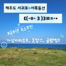 제주에코힐글램핑 | 제주 서귀포 숙소 3곳 비교🌴가성비 리조트vs5성급 호캉스vs감성 글램핑.장단점 총정리