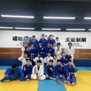 트윈스스타유도
