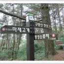 천주산 누리길 이미지