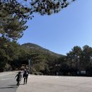 해들교차로 | 부산 태종대 주차 다누비열차 전망대 해녀촌 후기