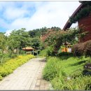 뜬봉샘 생태길 이미지