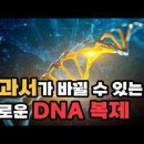 설계도 없이 DNA가 복제된다? 교과서가 바뀔 만한 새로운 DNA 복제 효소 발견! 이미지