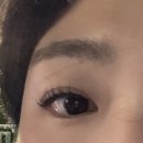 속눈썹 펌 성지 다녀왔습니다.. 신사역속눈썹펌 올리다래쉬 꼭 가세오 두 번 가세오💗