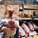 제이앤제이애견 | 석모도 펜션 강화애견펜션 장구너머펜션 두번째방문:)