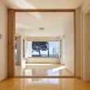 제주클래식위미 이미지