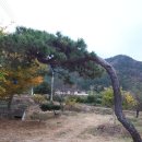 다원조경 이미지