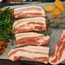 돈돼지먹어봐 이미지