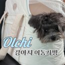 예쁜강아지 | 대중교통부터 기내까지 가능! 튼튼하고 예쁜 <올치Olchi 강아지 이동 가방 퀼팅 코코백> 내돈내산 후기🐶